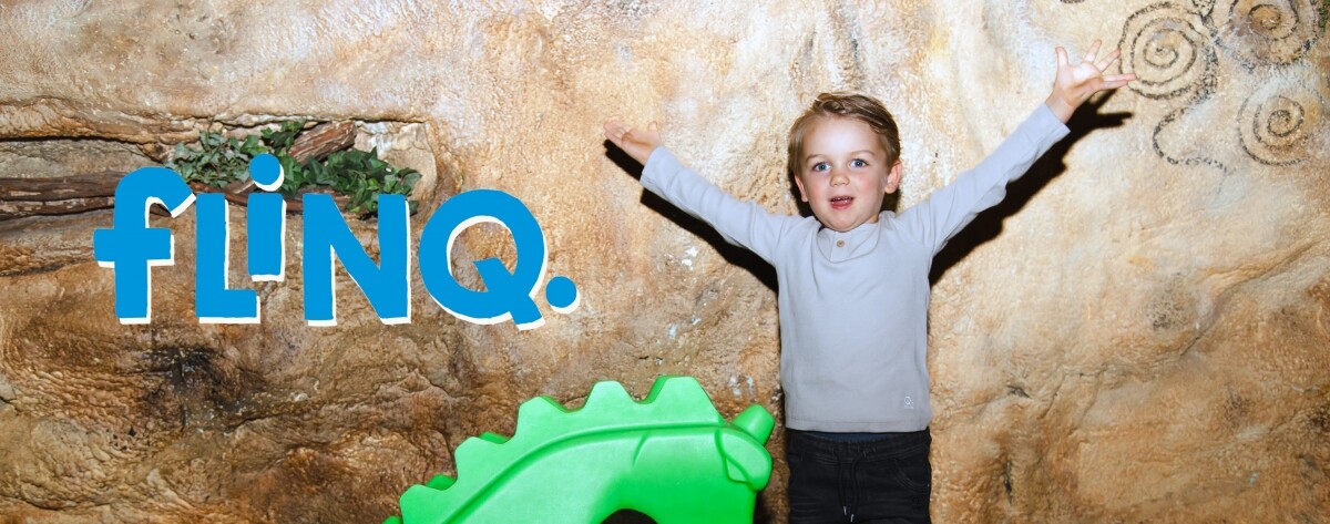 Flinq Flinq