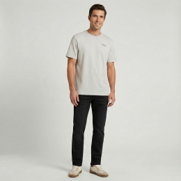 CARS jeans & casuals Pluyo heren Heren T-Shirt km grijs