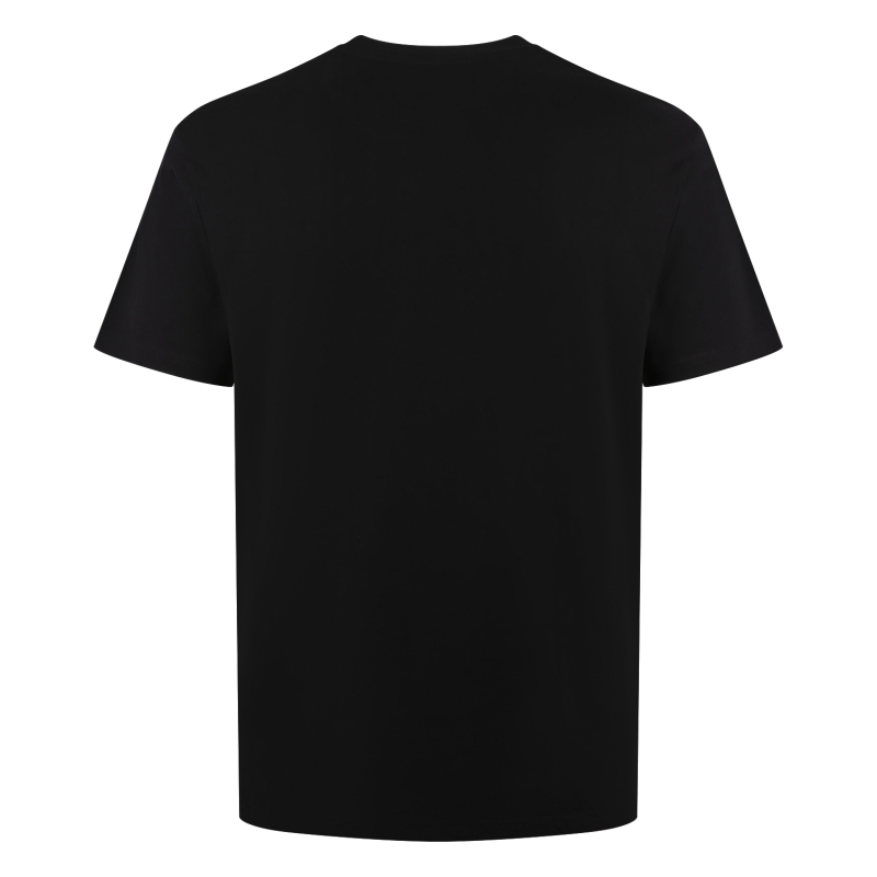 Stonecast Bern men W20474 t-shirts Zwart
