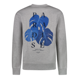 CARS jeans & casuals Diso sw heren sweatshirt Grey mele