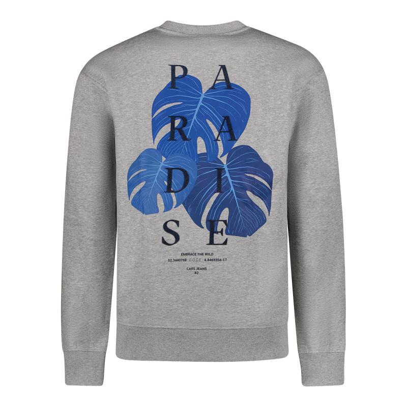 CARS jeans & casuals Diso sw sweatshirts Grey mele