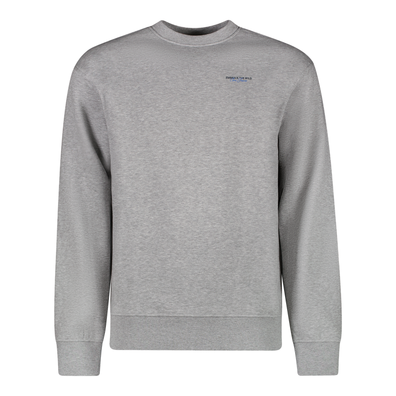 CARS jeans & casuals Diso sw sweatshirts Grey mele