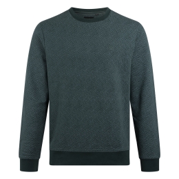 Stonecast Borjan men W20489 heren Sweatshirts Groen donker