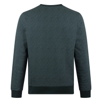 Stonecast Borjan men W20489 sweatshirts Groen donker