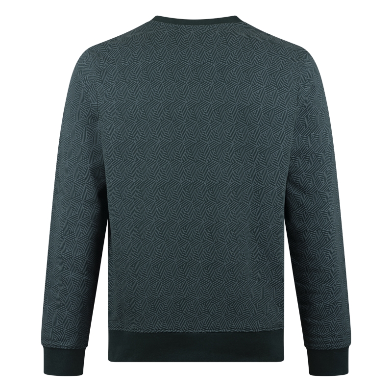 Stonecast Borjan men W20489 sweatshirts Groen donker