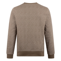 Stonecast Borjan men W20489 sweatshirts Taupe