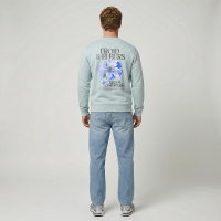 CARS jeans & casuals Froy sweatshirts mint groen