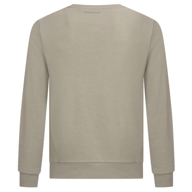 Stonecast Stonecast Tedman men W10481 Groen light green Stonecast Tedman men W10481 Heren sweatshirt Groen bestel je online bij www.bertusmode.nl/