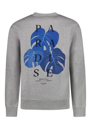 CARS jeans & casuals CARS jeans & casuals Diso sw Grijs