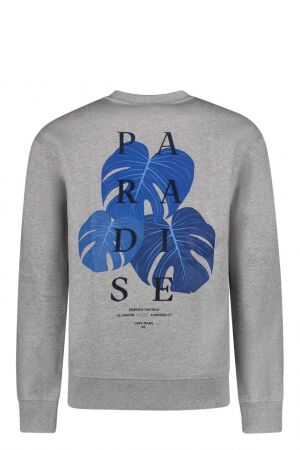 CARS jeans & casuals CARS jeans & casuals Diso sw Grijs Grey melee CARS jeans & casuals CARS jeans & casuals Diso sw Grijs Grey melee