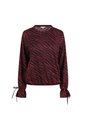 Bordeaux rood 
