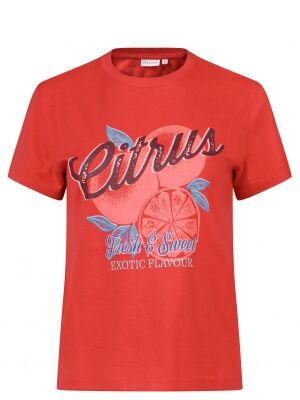 City Life City Life 213725A Z10629 Rood