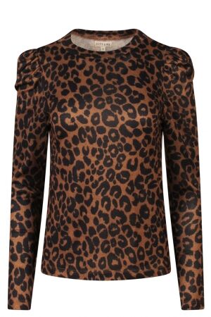 City Life City Life CX90801R2 W10419 Beige tobacco brown