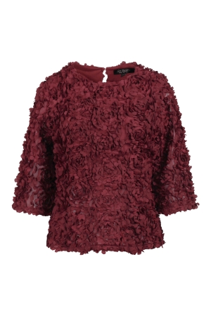 Bordeaux rood 