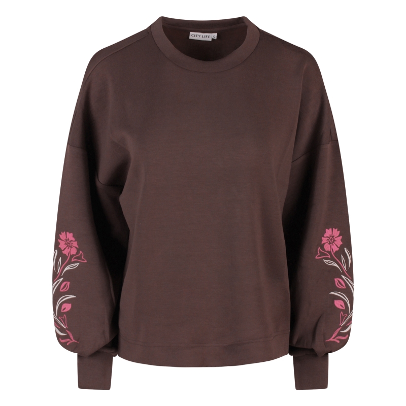 City Life 213888 W20435 sweatshirts Bruin donker