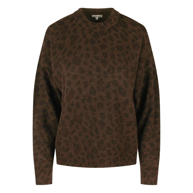 City Life Mariska W20451 pullover Bruin donker