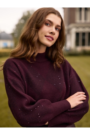 Bordeaux rood 