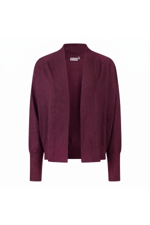 Bordeaux rood 