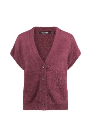 Bordeaux rood 