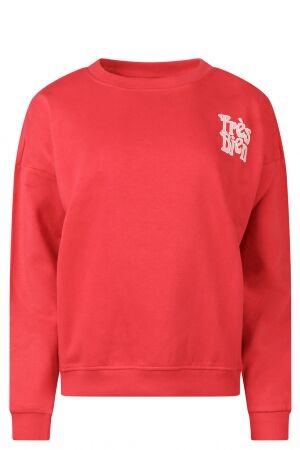 City Life City Life 214105 Z10475 Rood poinsetta