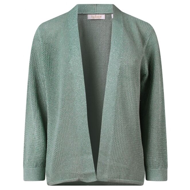 So Soire So Soire Alexia Z10537 Groen sage So Soire Alexia Z10537 Dames vest Groen bestel je online bij www.bertusmode.nl/