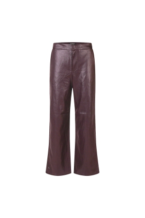 Bordeaux rood 