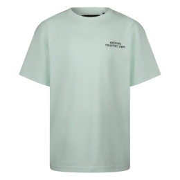 Ravagio Afonso Z10302 jongens T-shirts korte mouw Groen licht