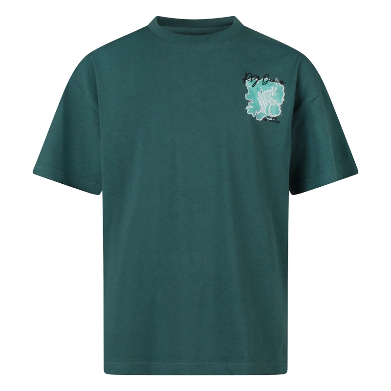 Ravagio Amaru Z10232 t-shirts korte mouw Groen