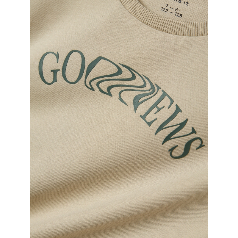 name it NKMNEVIN SS NREG TOP t-shirts korte mouw Brown