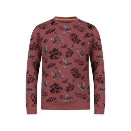 Unlocked 3117602 W10276 jongens T-shirt lm Mauve