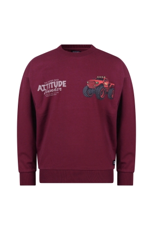 Bordeaux rood 