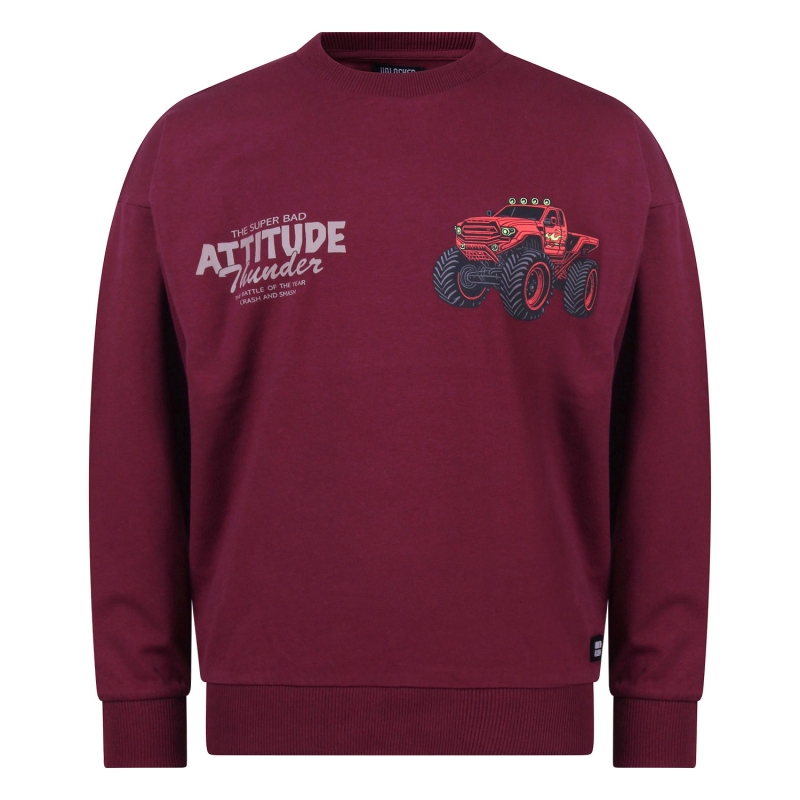 Unlocked 3317600 W20332 t-shirts lange mouw Wijnrood