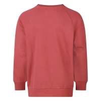 Unlocked Fargo Z10353 sweatshirts Mauve