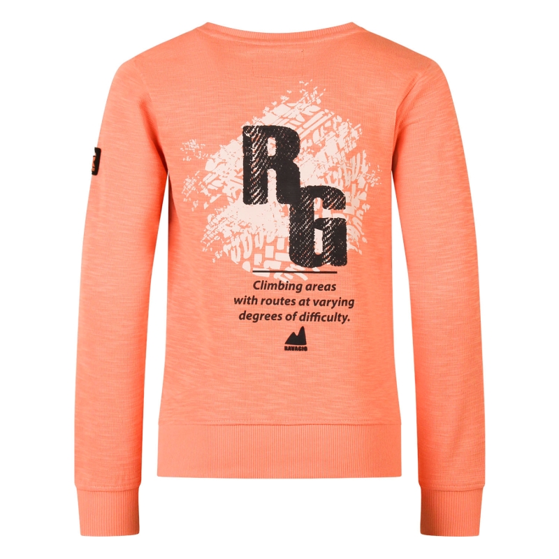 Ravagio Arti Z10213 sweatshirts Oranje