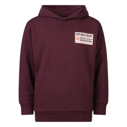 Unlocked Noble W20248 jongens sweatshirt Aubergine