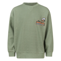 Unlocked Skylar W20250 sweatshirts Groen licht