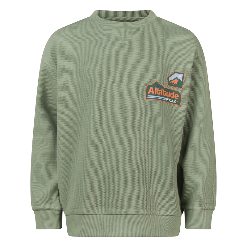 Unlocked Skylar W20250 sweatshirts Groen licht