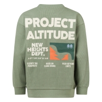 Unlocked Skylar W20250 sweatshirts Groen licht