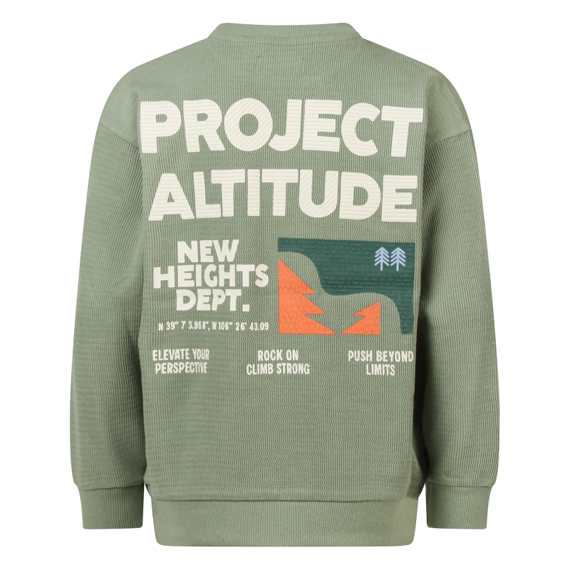 Unlocked Skylar W20250 sweatshirts Groen licht
