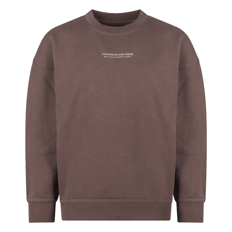 Ravagio Bexley W20280 sweatshirts Bruin