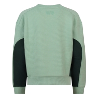 Ravagio Brano W20267 sweatshirts Mint