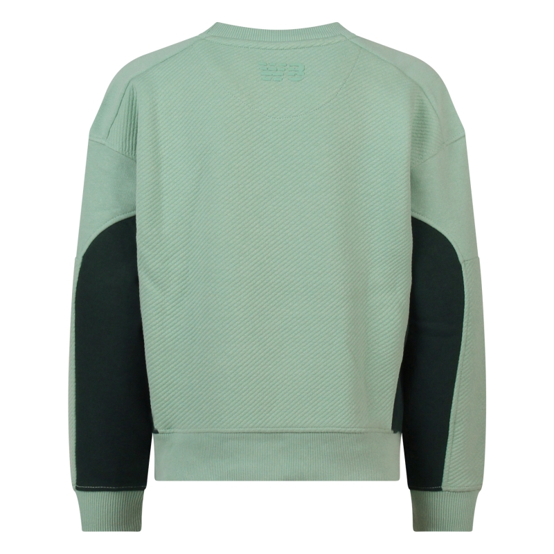 Ravagio Brano W20267 sweatshirts Mint