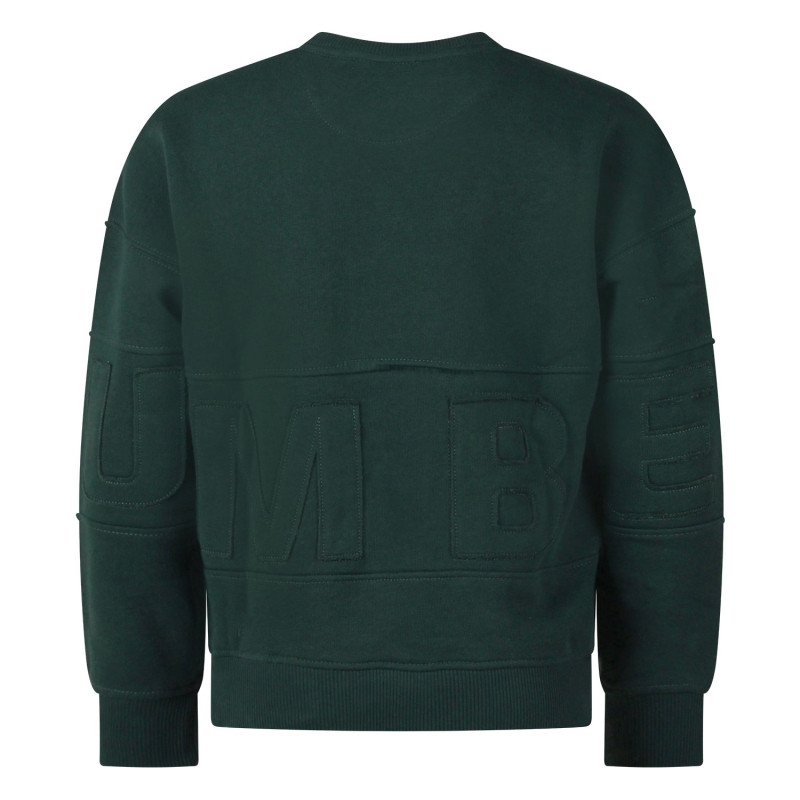 Ravagio Buster W20211 sweatshirts Groen donker