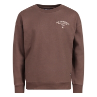 Unlocked 544112 W20540 sweatshirts Bruin