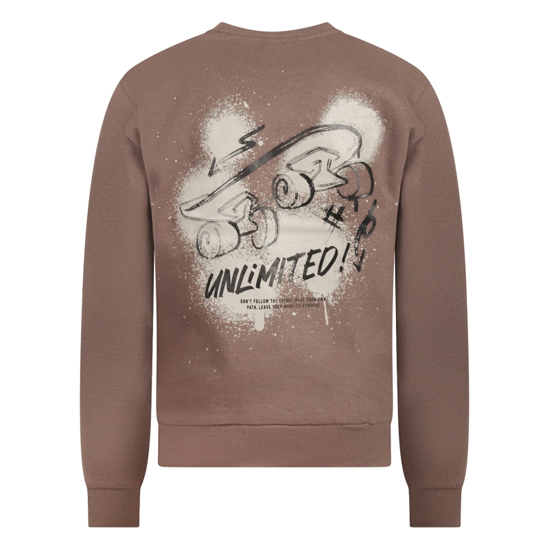 Unlocked 544113 W20542 sweatshirts Taupe