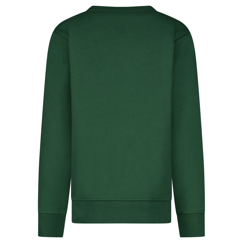 CARS jeans & casuals Leroy kids sweatshirts army groen