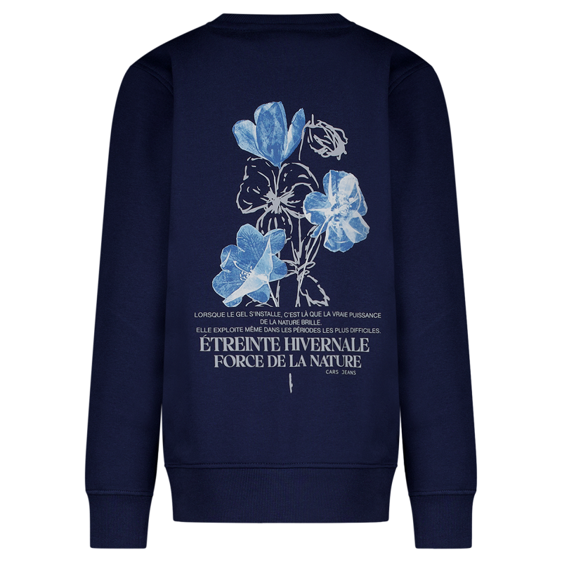 CARS jeans & casuals Froy kids sweatshirts Marine
