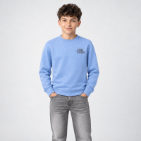 CARS Jeans Froy kids sweatshirts raf/jeans