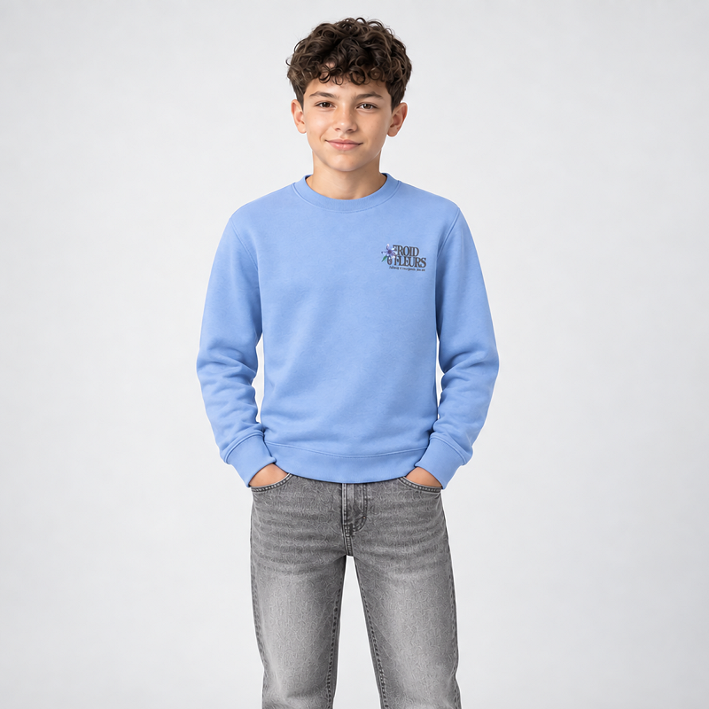 CARS Jeans Froy kids sweatshirts raf/jeans