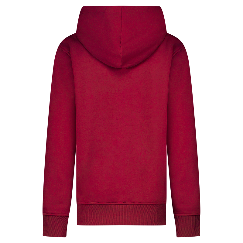 CARS Jeans Tylo kids sweatshirts wijnrood